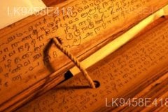 UNESCO has decided to declare the “Mahawanshaya” as a World Heritage.