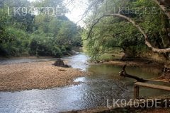 Dambulu Oya River
