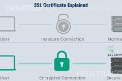 Digital (SSL) Certificates