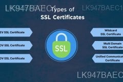 Digital (SSL) Certificates
