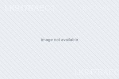 Digital (SSL) Certificates