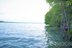 Rekawa Lagoon