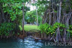 Rekawa Lagoon