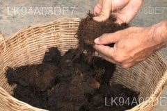 Elephant Dung Paper