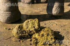 Elephant Dung Paper