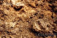 Elephant Dung Paper
