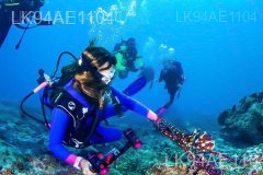 Bar Reef