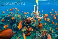 Bar Reef