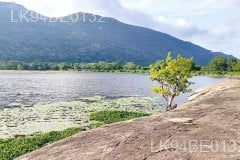 Galgiriya Mountain