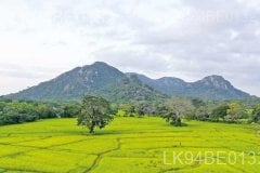 Galgiriya Mountain