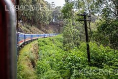 The Ella Odyssey Train