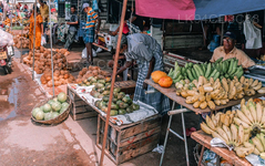 Negombo Market