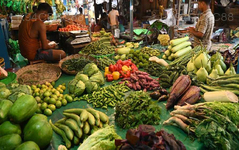 Negombo Market
