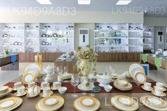 Noritake Lanka Porcelain