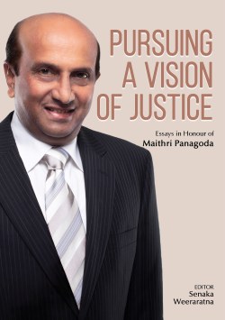 Pursuing a Vision of Justice