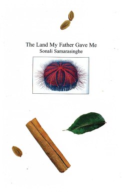 Land My Father Gave Me