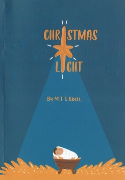 Christmas Light