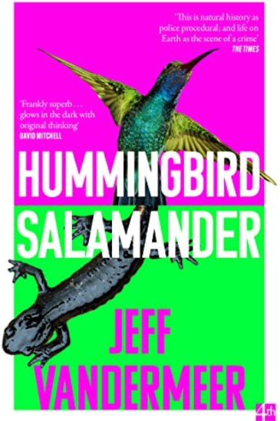 Hummingbird Salamander