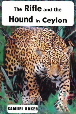 Rifle and the Hound in Ceylon