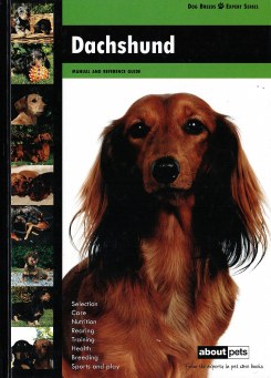Dachshund