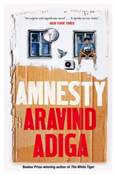 Amnesty