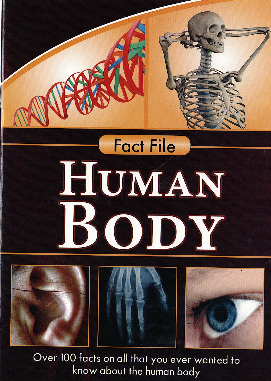 Fact File : Human Body