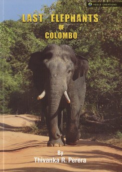 Last Elephants of Colombo