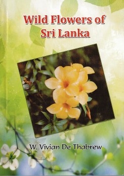 Wild Flowers of Sri Lanka