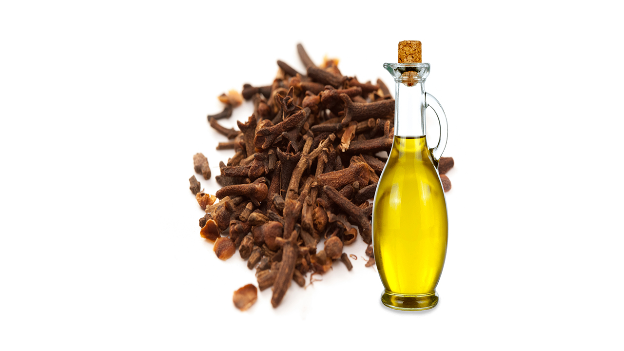 Lakpura® Clove Essential Oil (15ml)