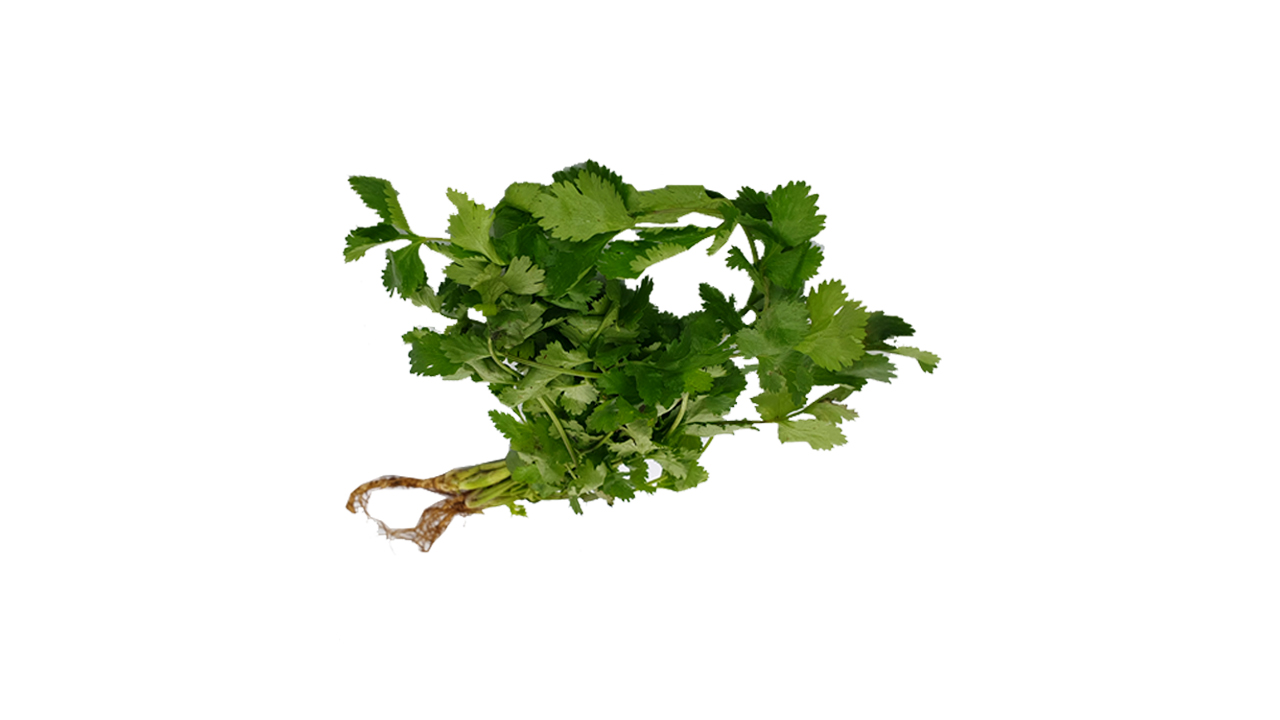 Lakpura® Coriander Leaves