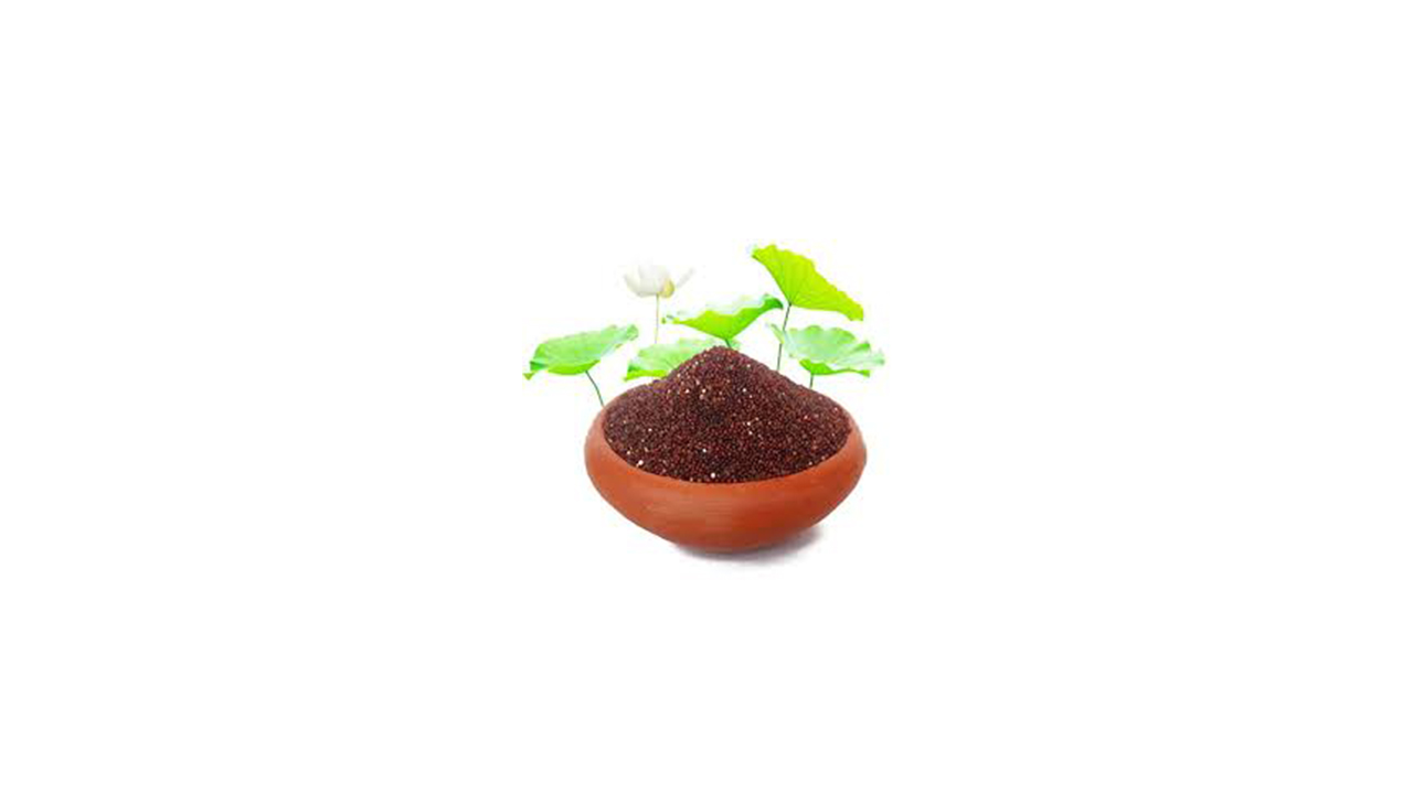 Lakpura® White Water Lily (Olu) Rice
