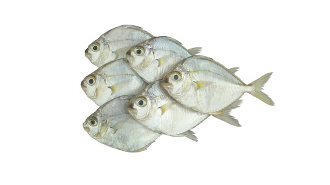 Lakpura® Dried Karalla (Pony Fish) 200g, Salted Dry Fish (Karawala)