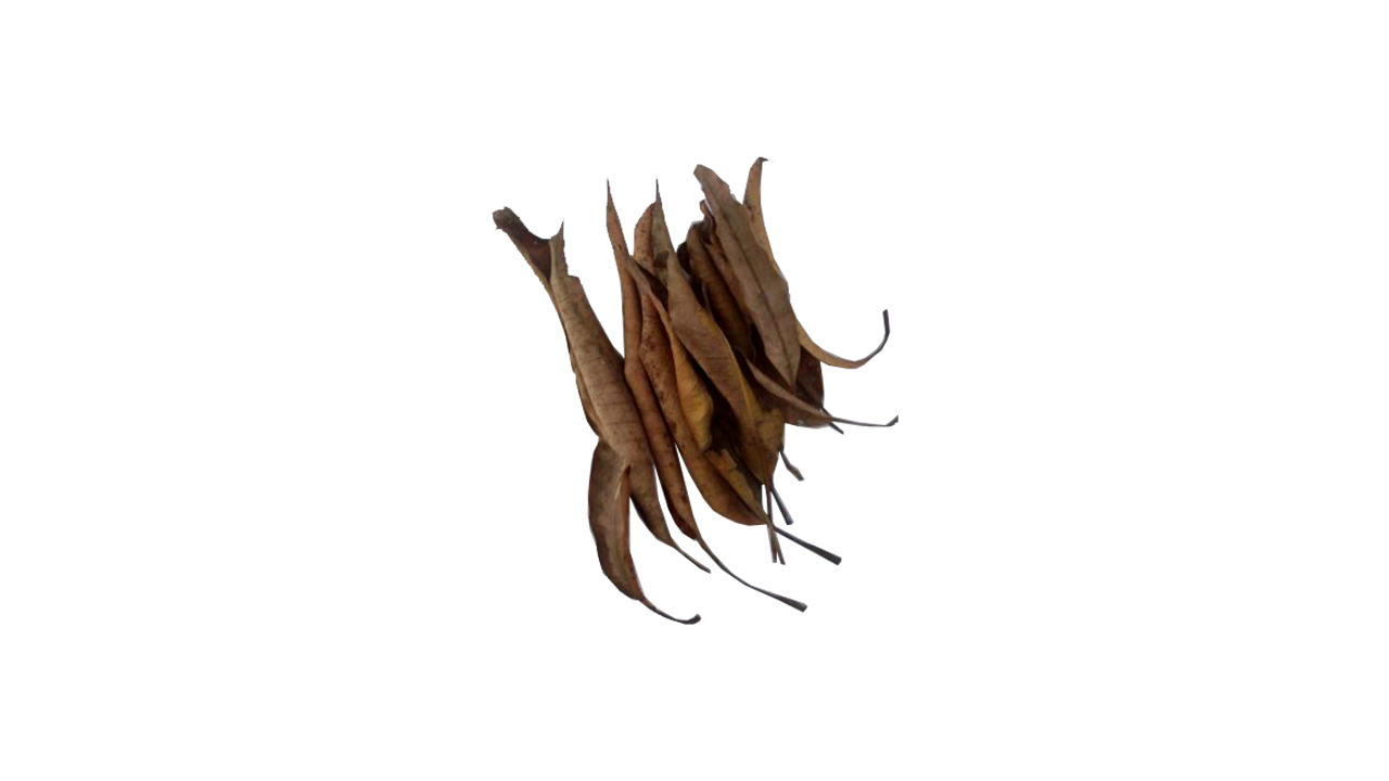 Lakpura® Dehydrated Mango Leaves