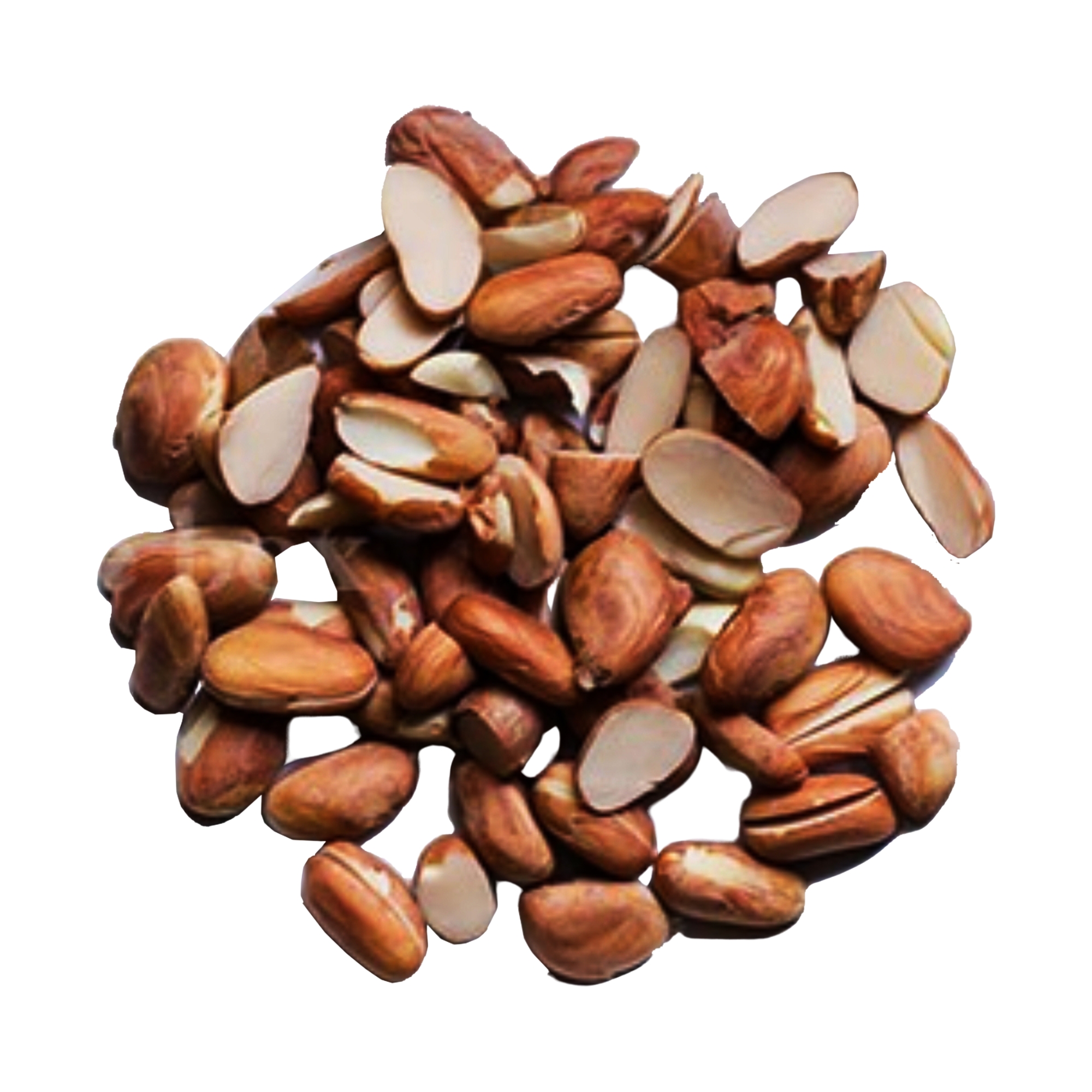 Lakpura® Dehydrated Jackfruit Seeds (100g)