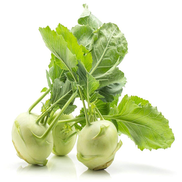 Lakpura® Knol Khol