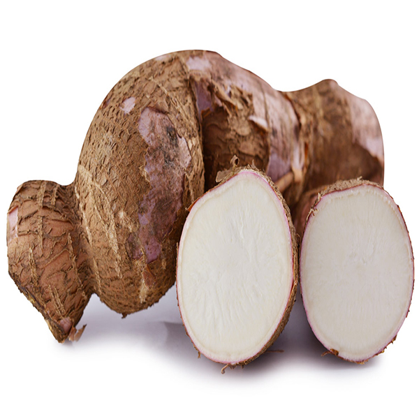 Lakpura® Manioc (Manyokka)