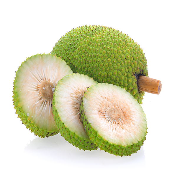 Lakpura® Breadfruit