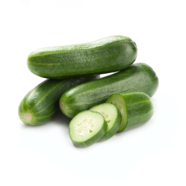 Lakpura® Salad Cucumber