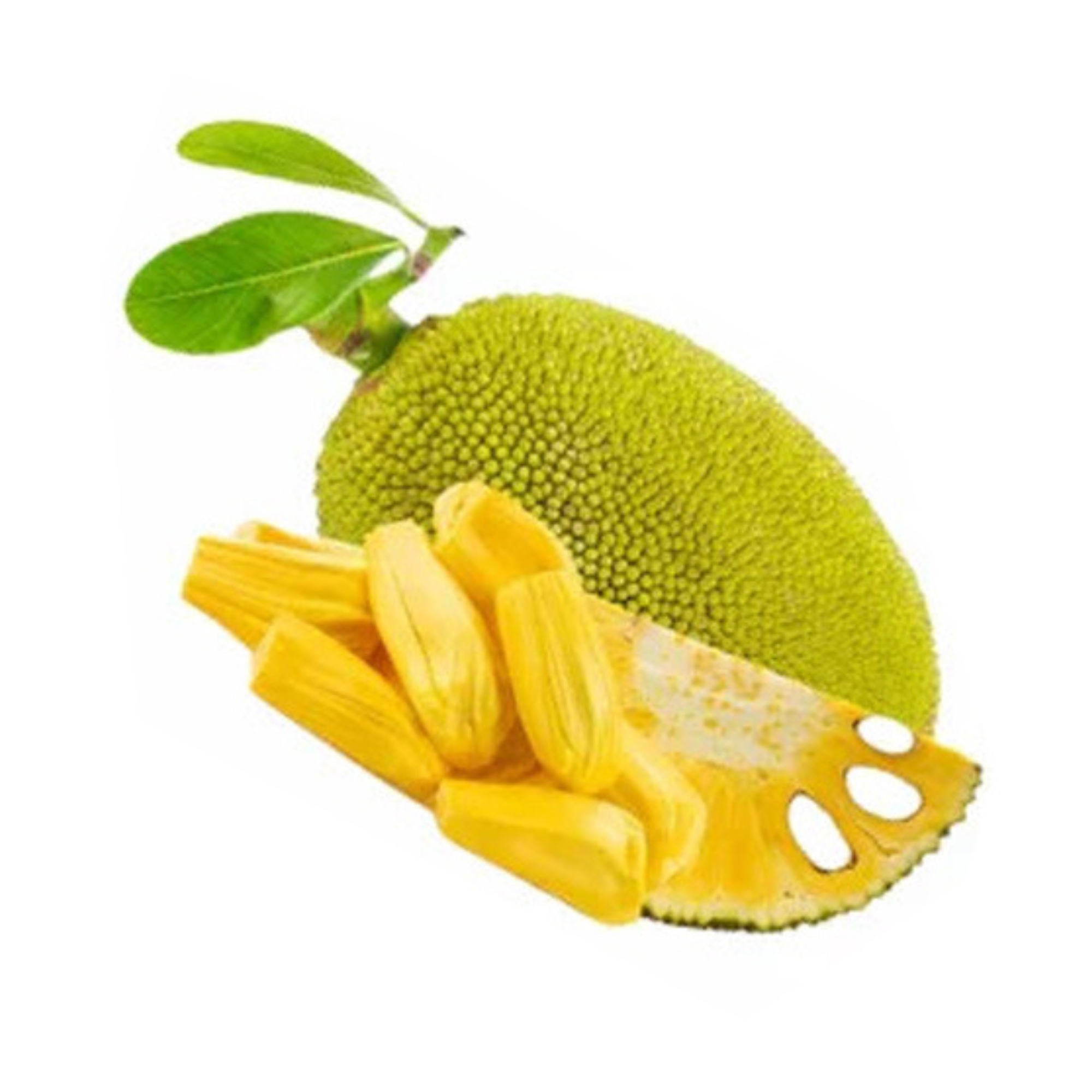Lakpura® Hirosa Jackfruit Grafted Plant