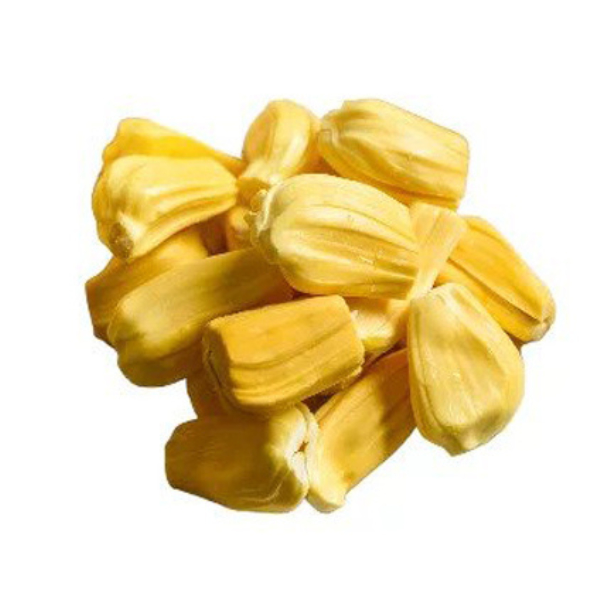 Lakpura® Mandoor Jackfruit Plant