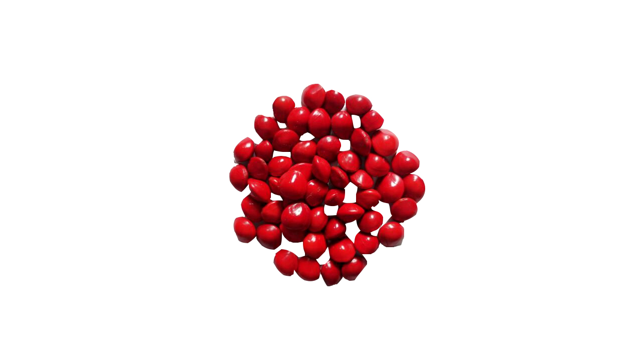 Lakpura® Madatiya Seeds (Adenanthera pavonina)