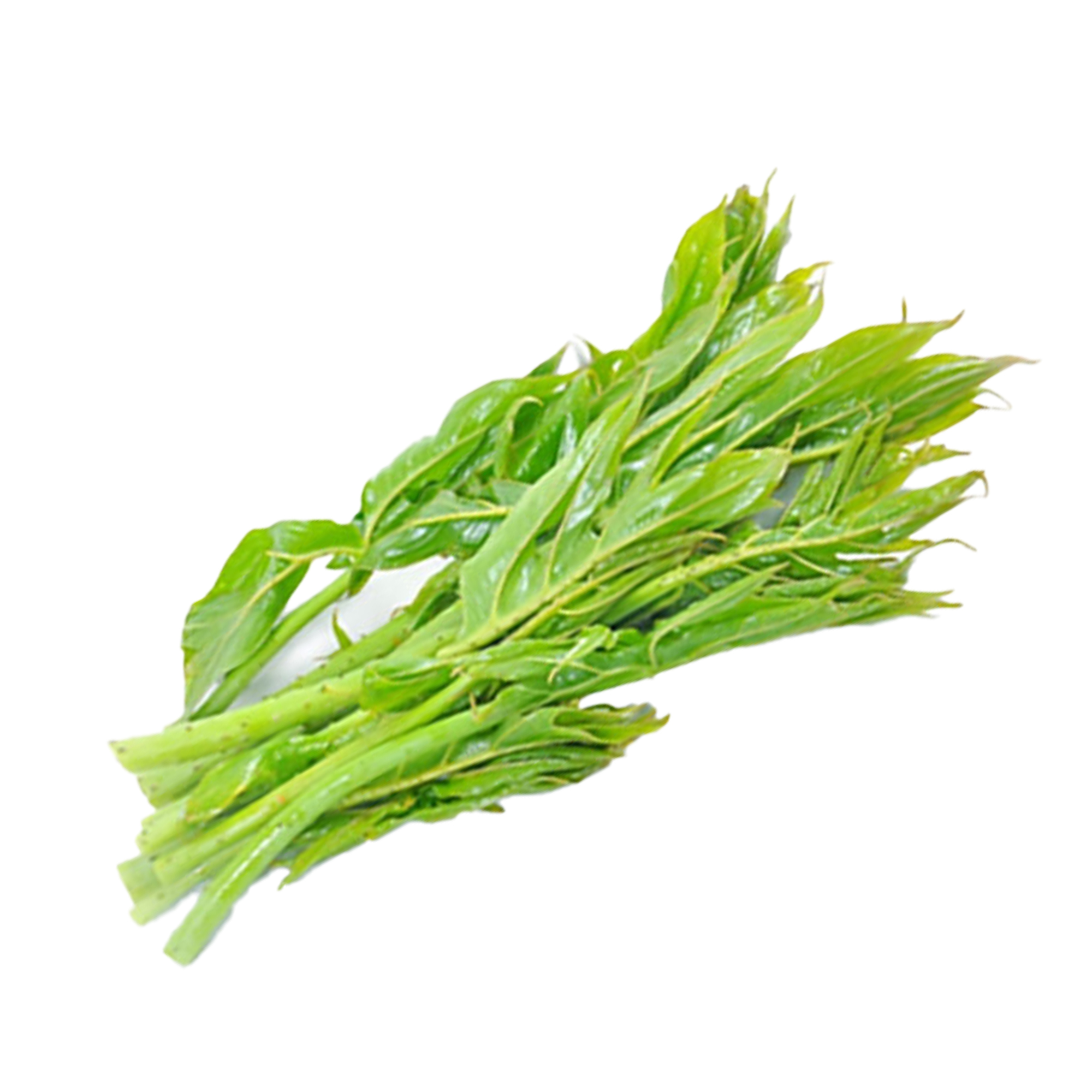 Lakpura® Kohila Dalu Leaves
