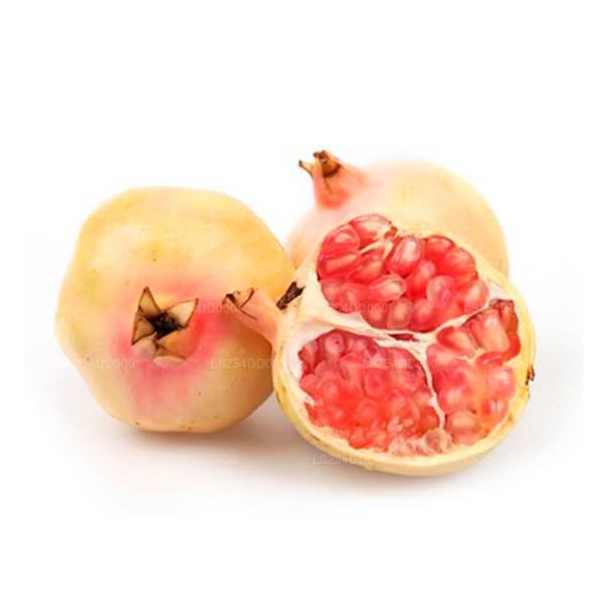 Lakpura® Pomegranate (Delum) Pink