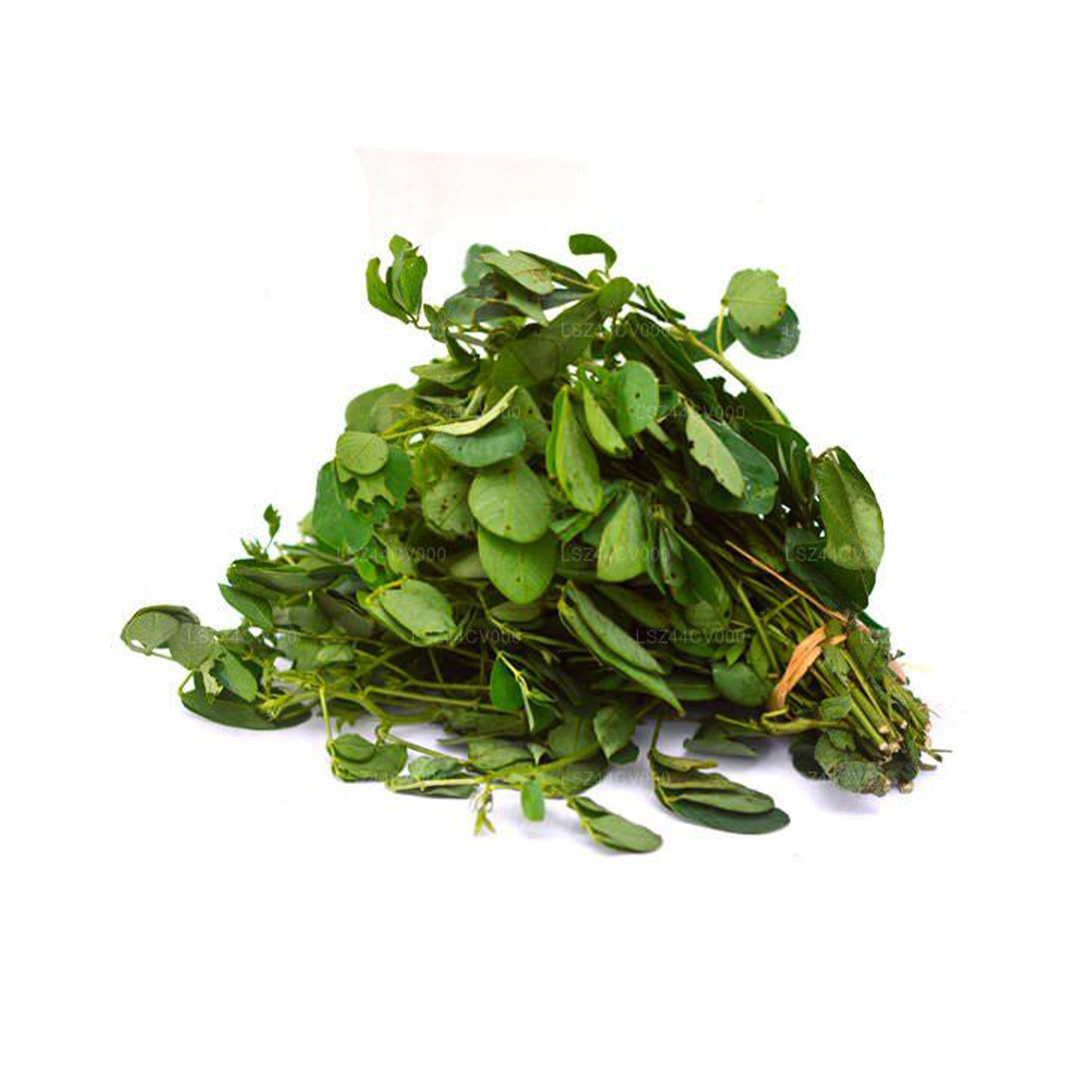 Lakpura® Thora Leaves