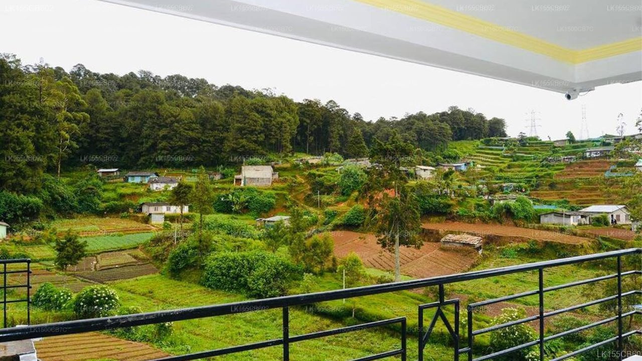 Mount Villa