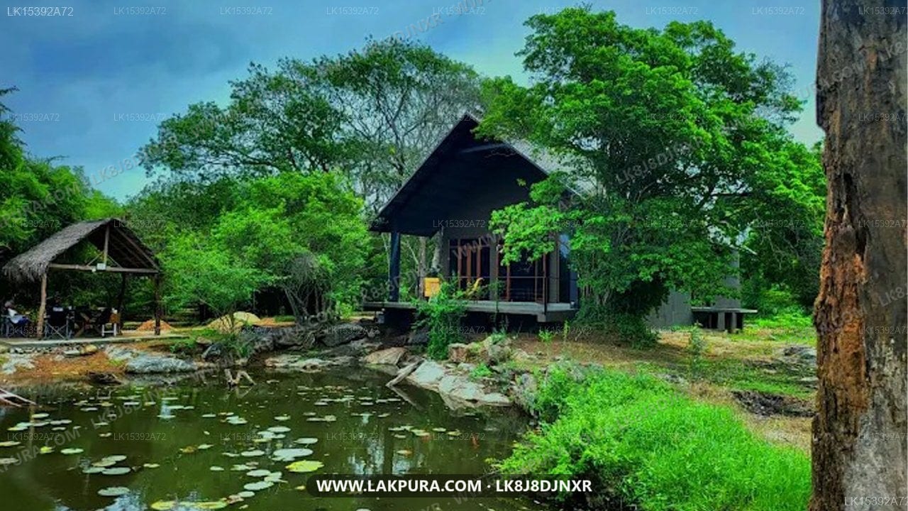 turtle pond wilpattu