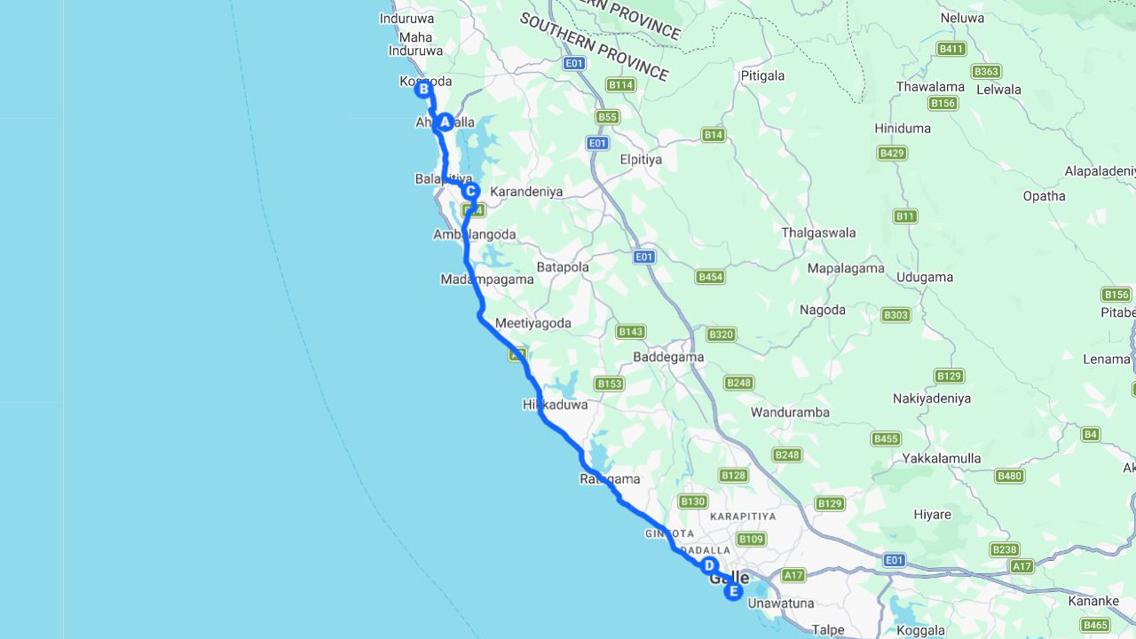 Southern Coast Highlights and River Safari from Ahungalla City