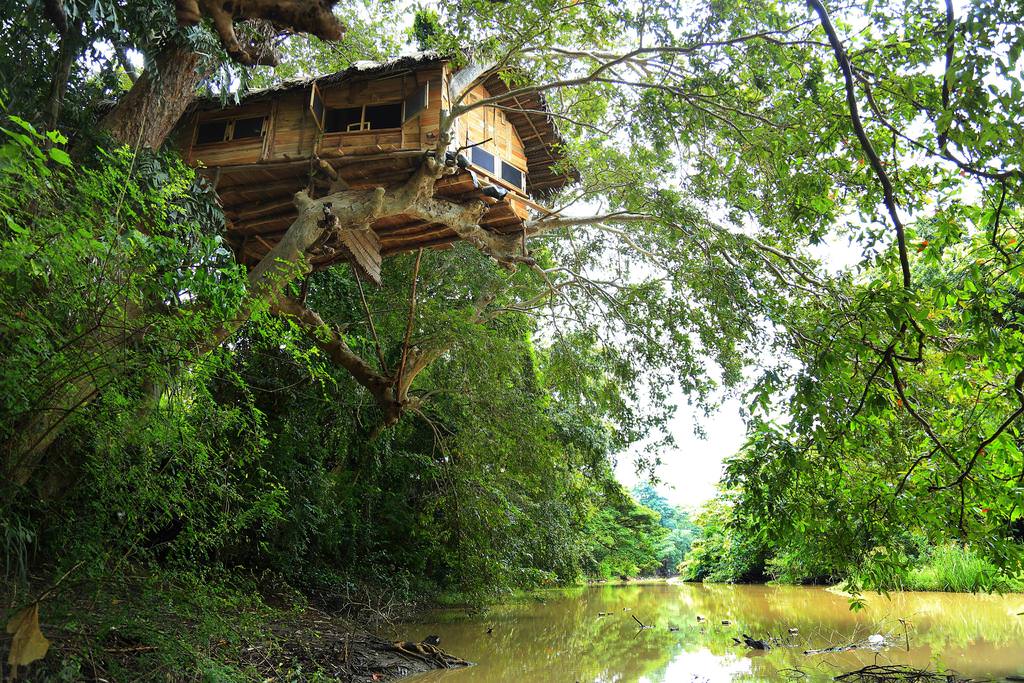 Eco Tours of Sri Lanka (6 Days)