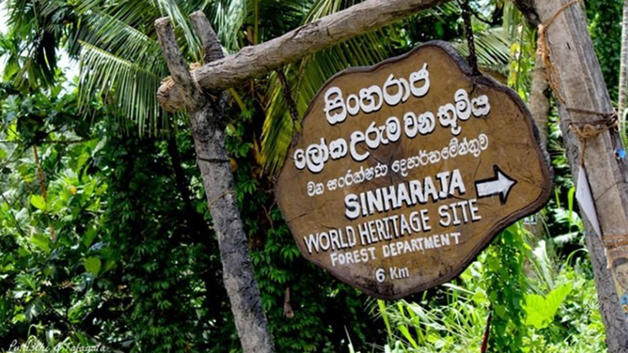 Sinharaja Forest Reserve Guided Tour with Entrance Tickets