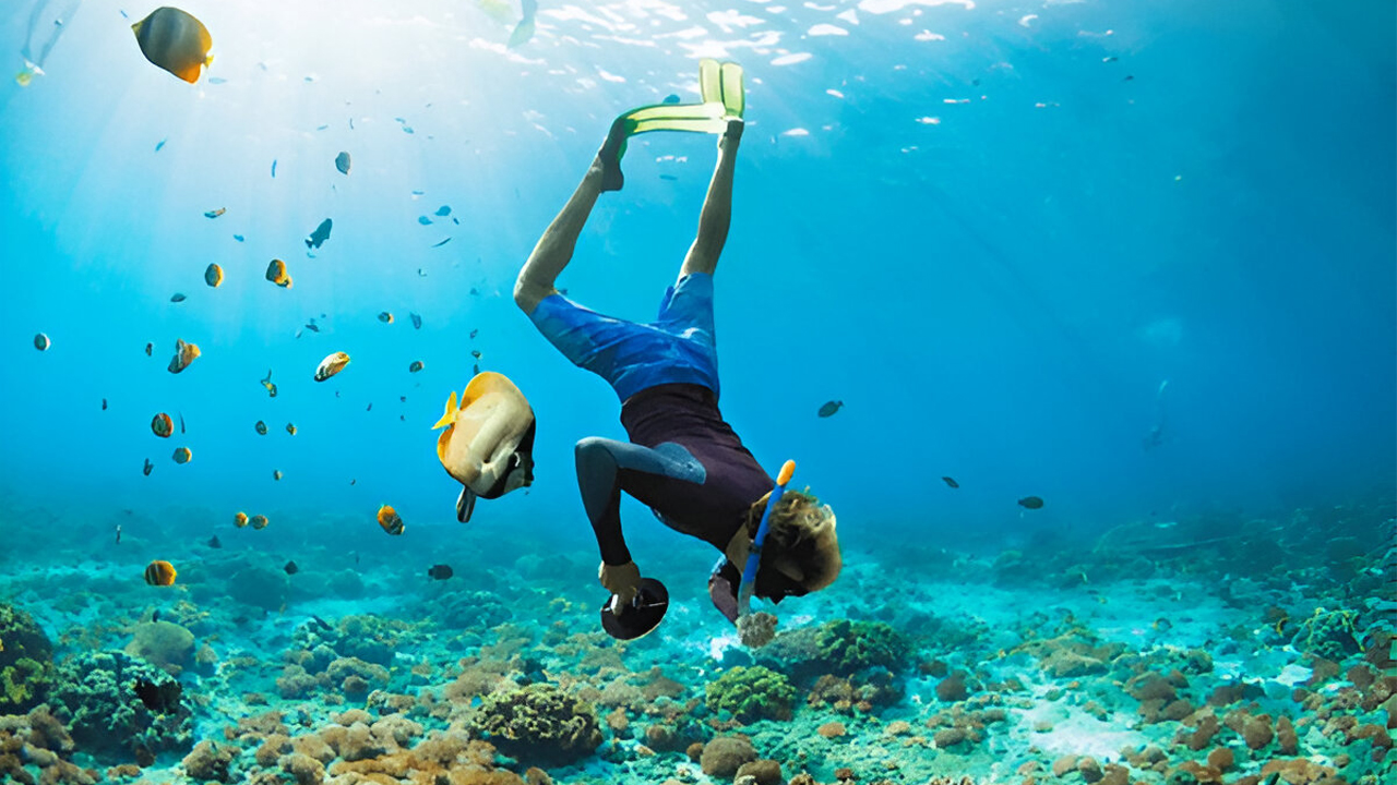 Snorkeling at Pigeon Island from Trincomalee City